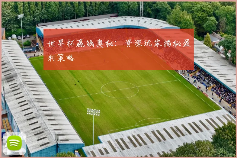 世界杯赢钱奥秘：资深玩家揭秘盈利策略