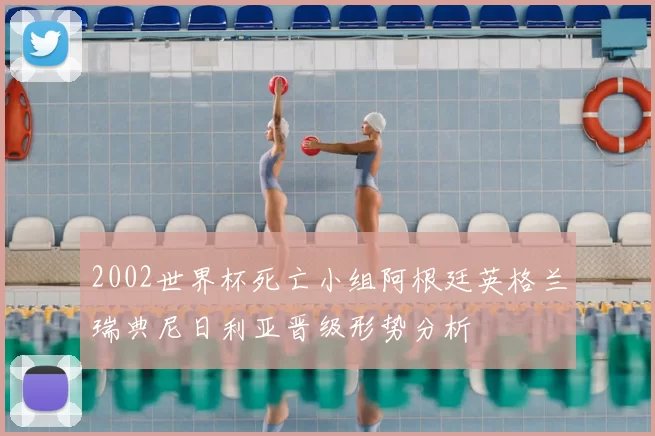 2002世界杯死亡小组阿根廷英格兰瑞典尼日利亚晋级形势分析