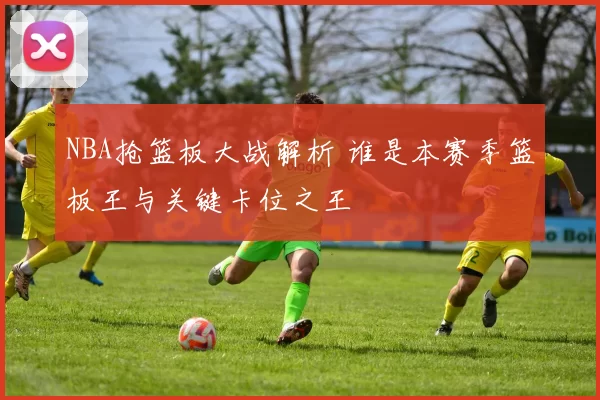 NBA抢篮板大战解析 谁是本赛季篮板王与关键卡位之王