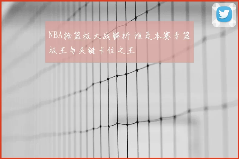 NBA抢篮板大战解析 谁是本赛季篮板王与关键卡位之王