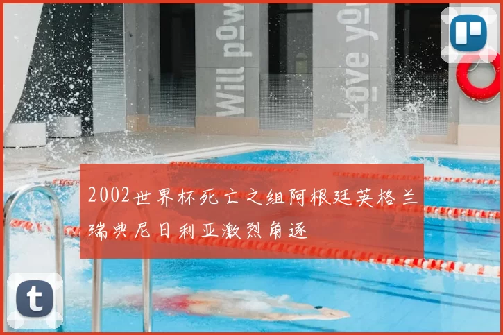 2002世界杯死亡之组阿根廷英格兰瑞典尼日利亚激烈角逐